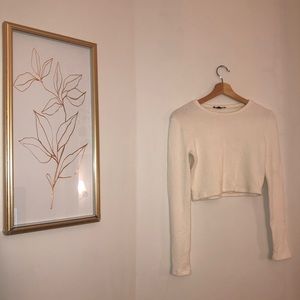 Zara long sleeve crop top